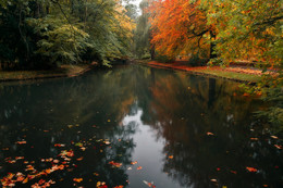 Herbst / ***
