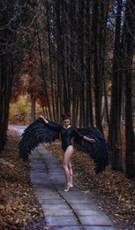 Engel / ***