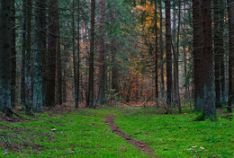 Was ist der Fall / ***