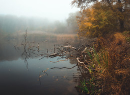 Cool place / ***