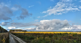 Beginning of autumn / ***