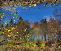 Autumn Watercolor / ***