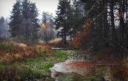 First snow / ***