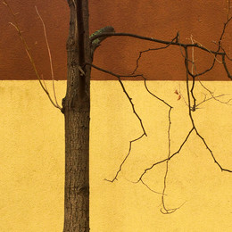 Seasons / https://photocentra.ru/work/692541
https://photocentra.ru/work/539370?&id_auth_photo=26212