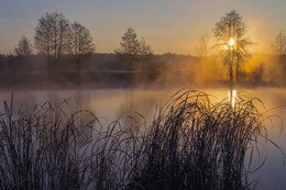frosty dawn / ***