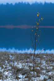 First snow / ***