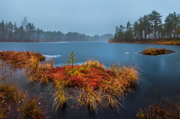 Herbst-Insel / ***