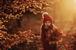 Autumn / ...