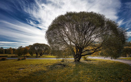 Autumn / ***