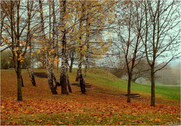 HERRIN / ***