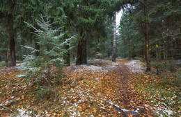 First snow / ***
