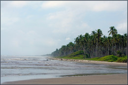 Morgen am Meer / ***