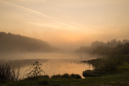 Morning / ***