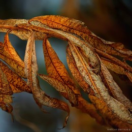 &nbsp; / music: GEORGE BENSON - Affirmation - vinyl
https://www.youtube.com/watch?v=htkPh_D4bWg