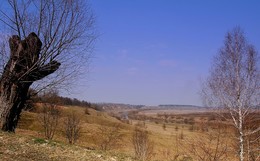 Open spaces / ***
