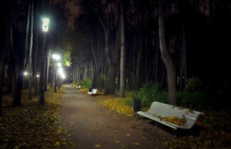 The city sleeps / ***