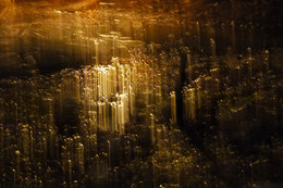 The city sleeps / ***