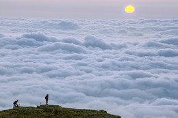 Konferenz der Sonne / ***