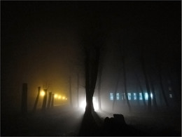 The city sleeps / -------