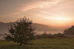 Foggy morning / ***