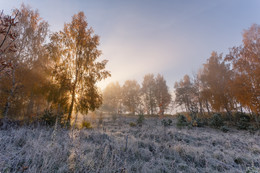 The first frosts / ***