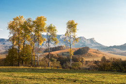 Goldener Herbst / ***