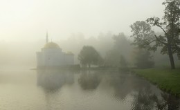 Foggy morning / ***
