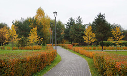 In autumn park / ***