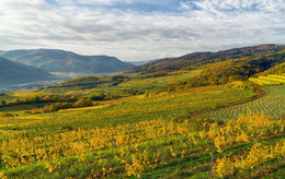 herbstliche Wachau / herbstliche Wachau