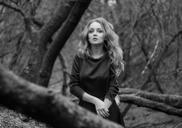 Dryad / ***
