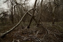 Chaos / ***