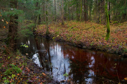 Red River / ***