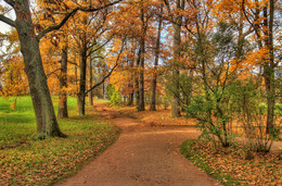 in the park / ***