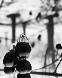 Autumn Dreams / [img]https://pp.userapi.com/c834402/v834402534/1ac24/QS3yA1FVC_4.jpg[/img]

[img]https://pp.userapi.com/c834402/v834402534/1ac2d/EYTxoI_D9_I.jpg[/img]