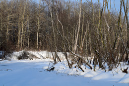 Winter denek / ***