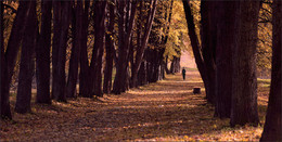 Der Park ... / .....