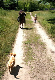 Road zu Fuß / ***