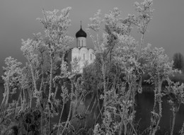 Frost / ***