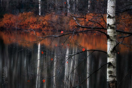 November / ***