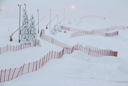 Winter fog / ***