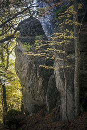 autumn / ***