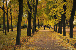 Im Herbst Park / ***