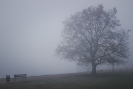 there behind fogs / ***