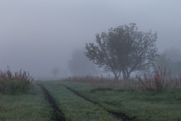 da hinter Nebeln / ***