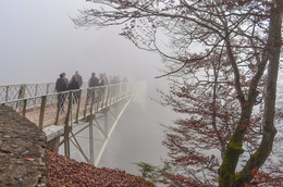 there behind fogs / ***