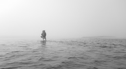 there behind fogs / ***