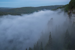 there behind fogs / ***