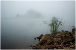 there behind fogs / ***