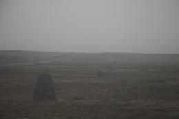 there behind fogs / ***