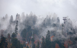 there behind fogs / ***